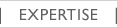 Expertise